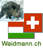 waidmann.ch